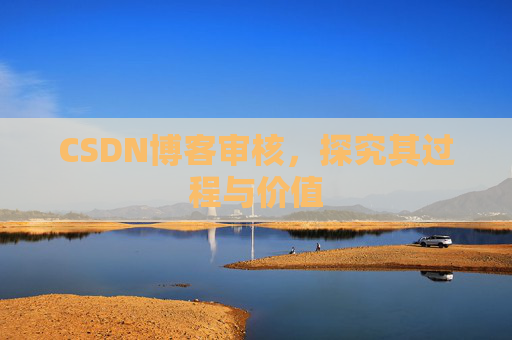 CSDN博客审核,探究其过程与价值